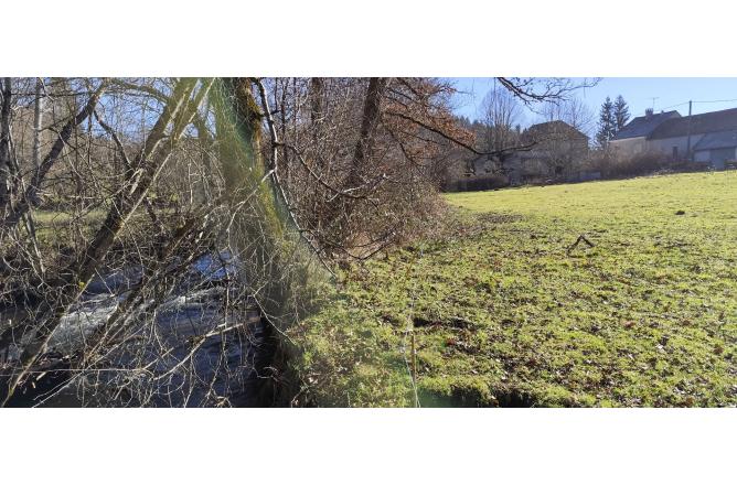 Propriété de 2 maisons , Bord de rivière et grand terrain - C