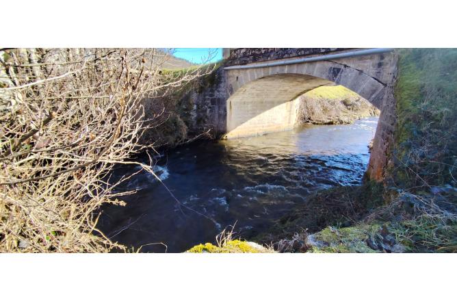 Propriété de 2 maisons , Bord de rivière et grand terrain - D