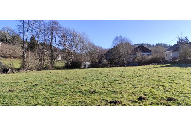 Propriété de 2 maisons , Bord de rivière et grand terrain - N